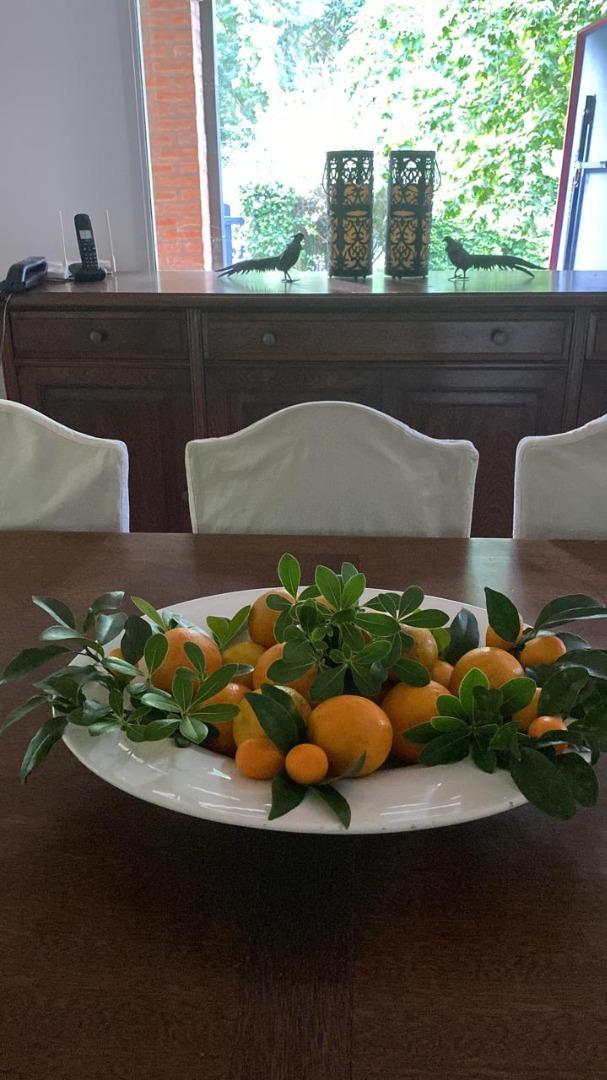 VENTA DE CASA  3 dormitorios toda PB