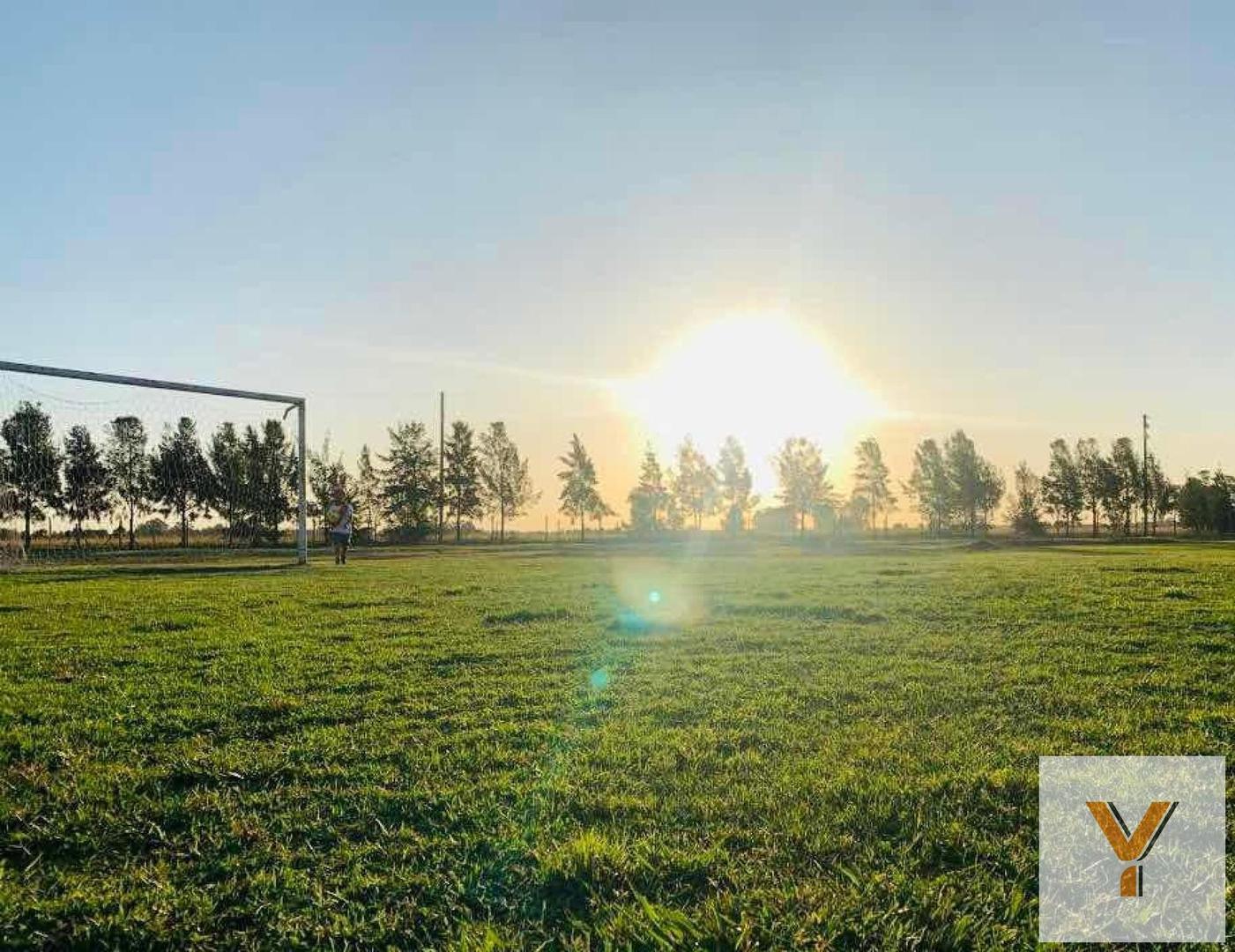 Terreno en Venta de 748,0 m2