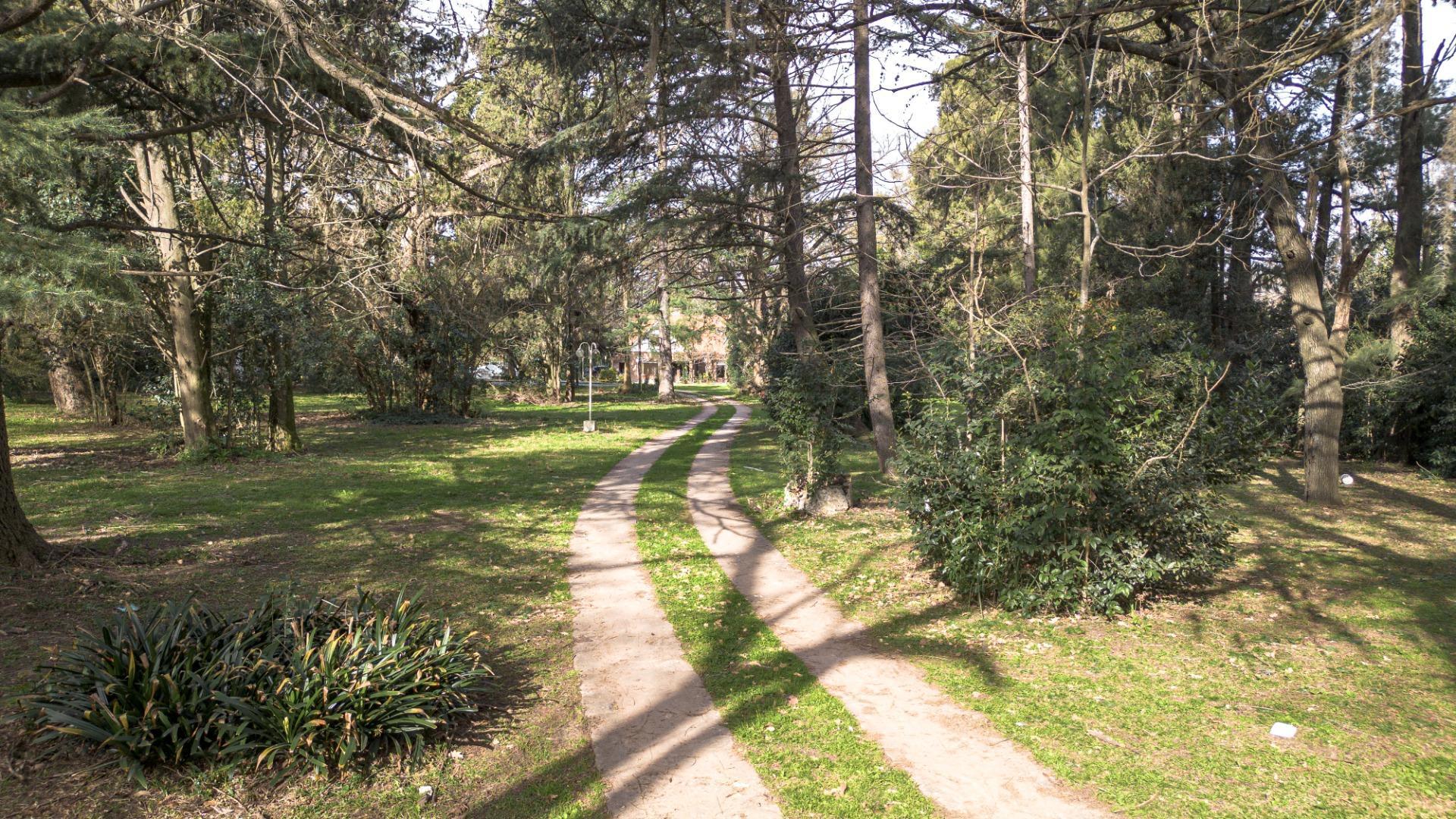 Miguel De Unamunu 6200