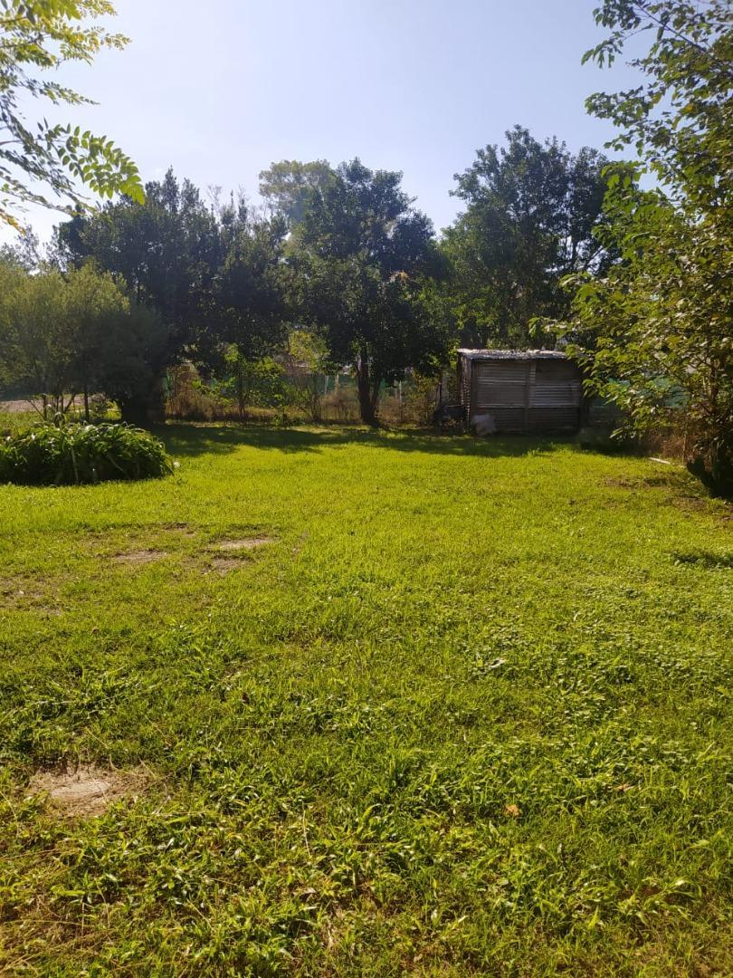 Rita De Ibarlucea 3513