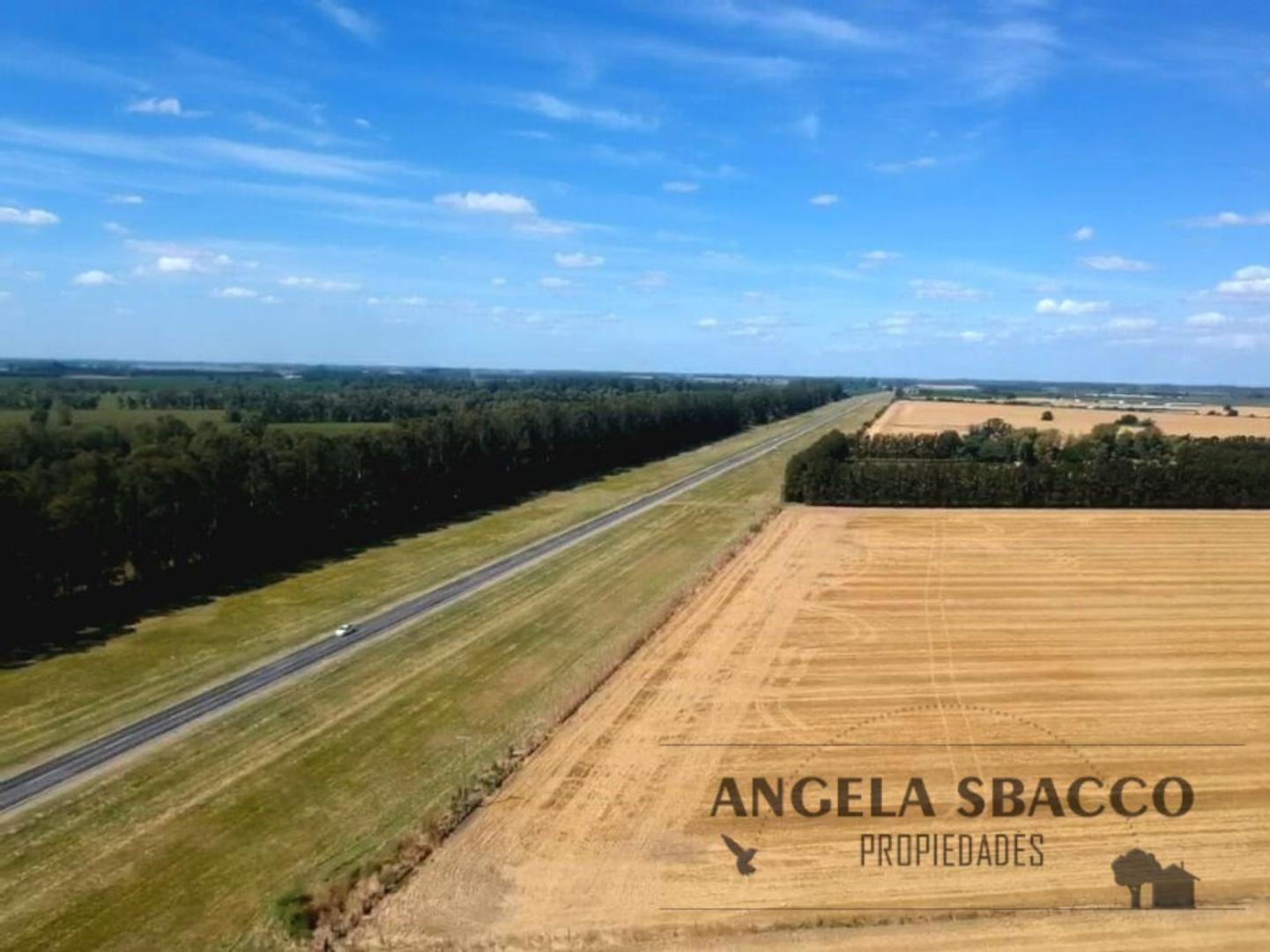 Ruta 193, Capilla Del Señor.