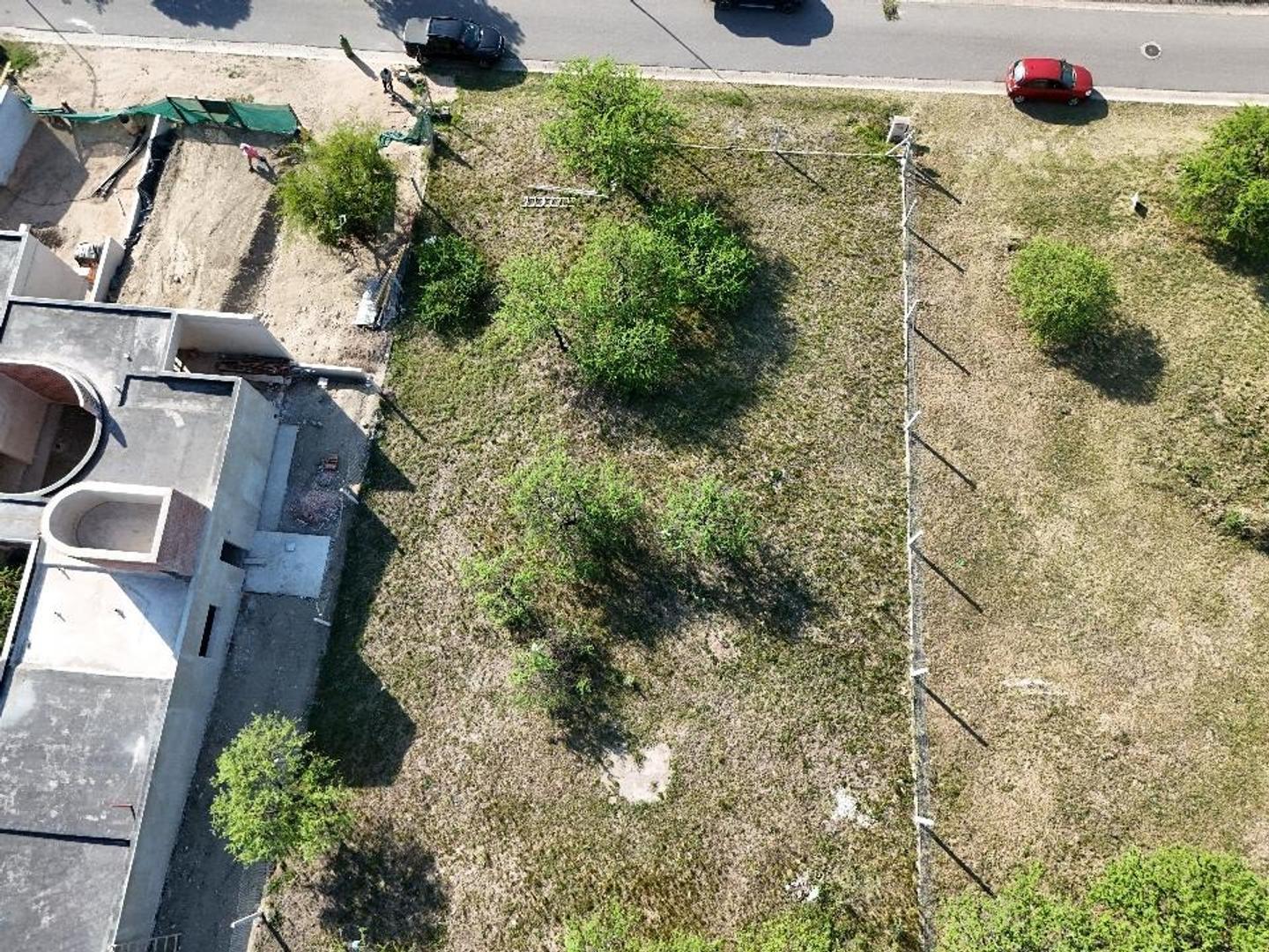 Colectora Rodríguez Peña 100