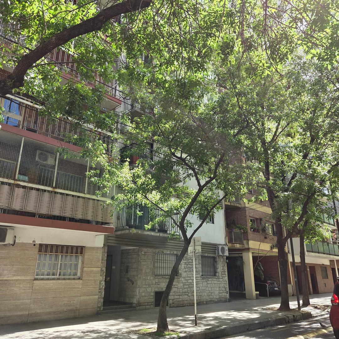 Oficina Planta Baja. Cabildo y Congreso