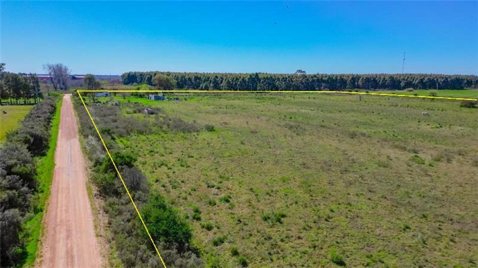 Campo en Venta de 5,10  ha