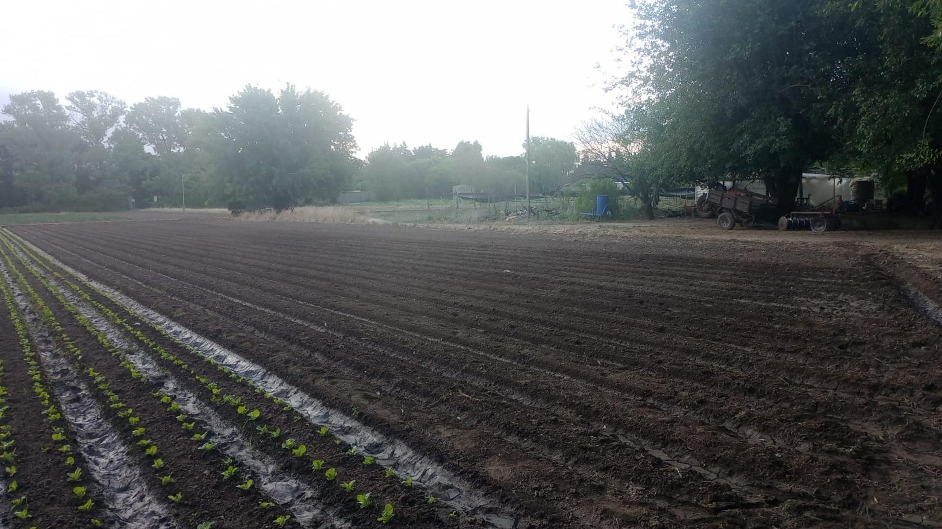 Terreno en Venta de 28000,0 m2