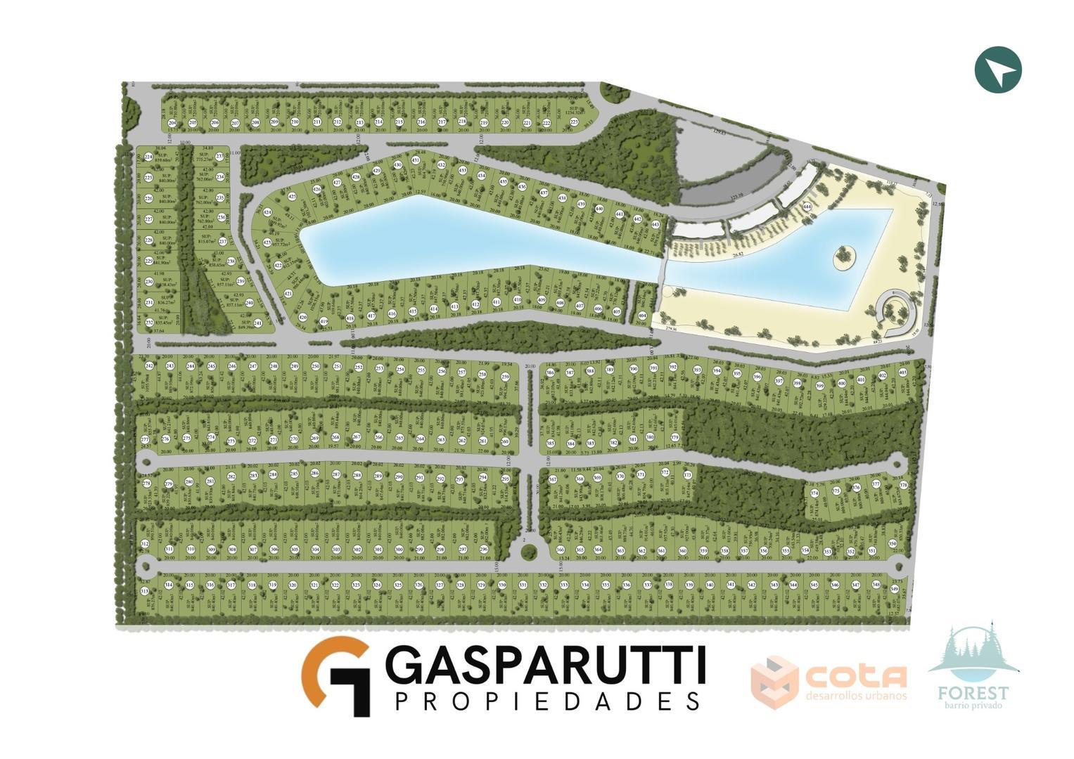 Forest Canning, Ezeiza