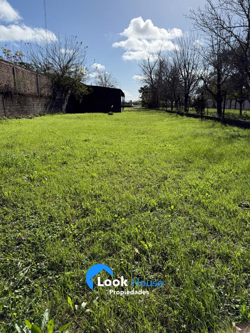 Terreno en Alquiler 361  mts Fondo