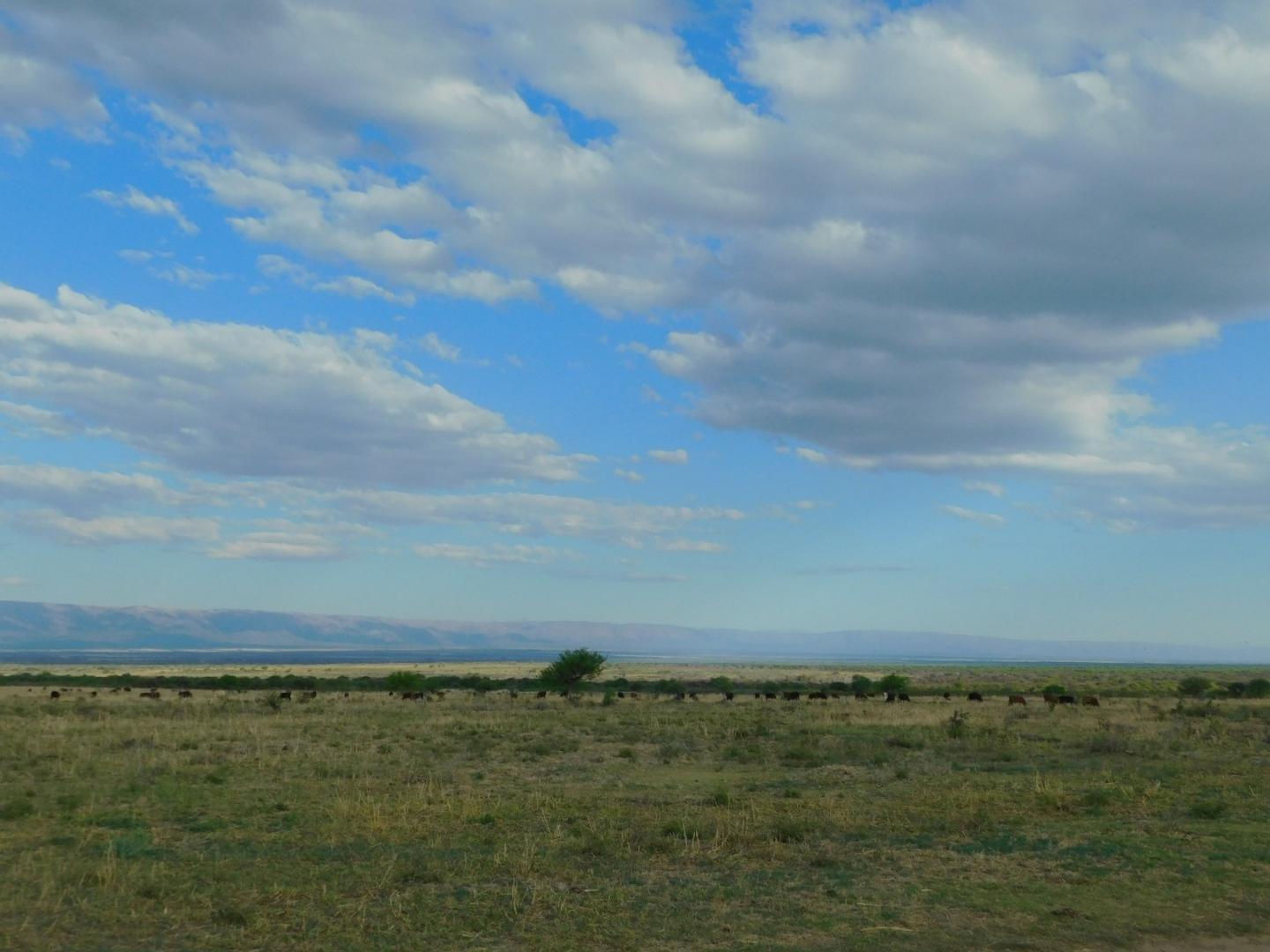 Campo 1000 has en venta a 6 km de Santa Rosa, San Luis