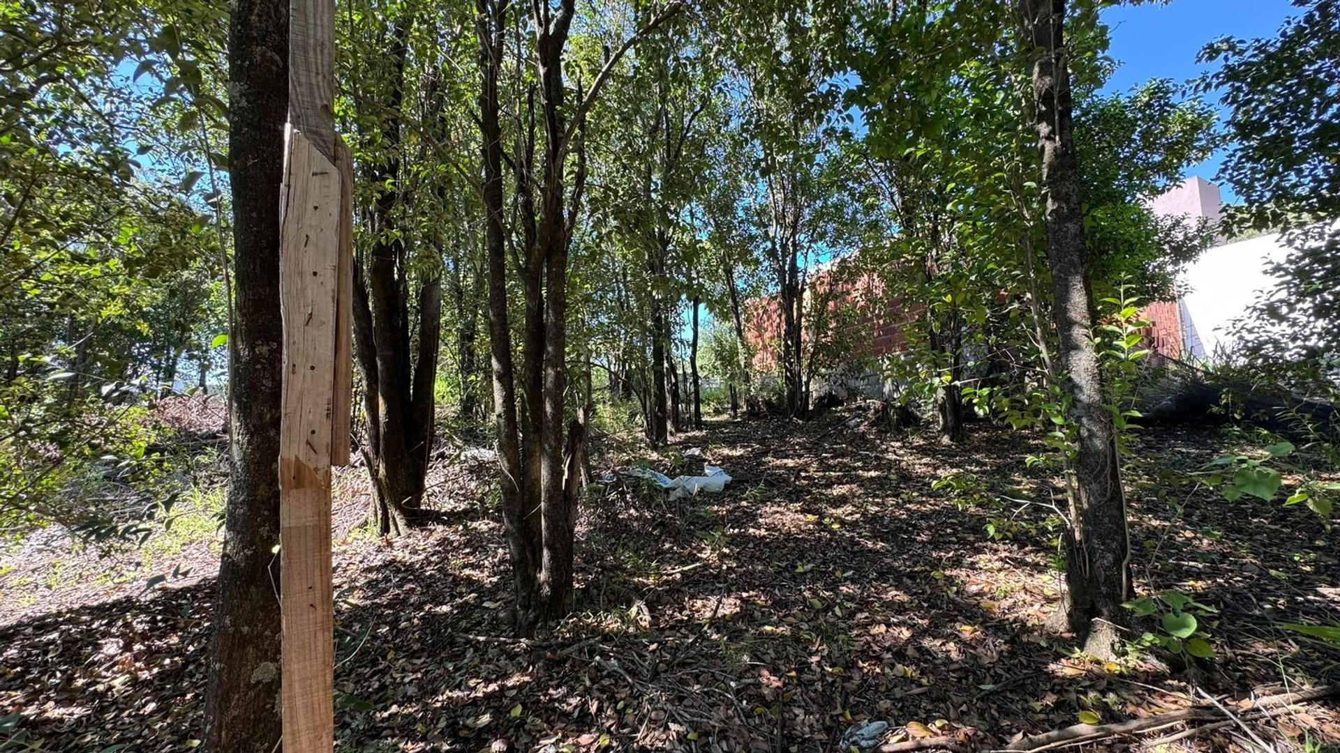 Terreno en Venta de 300,0 m2