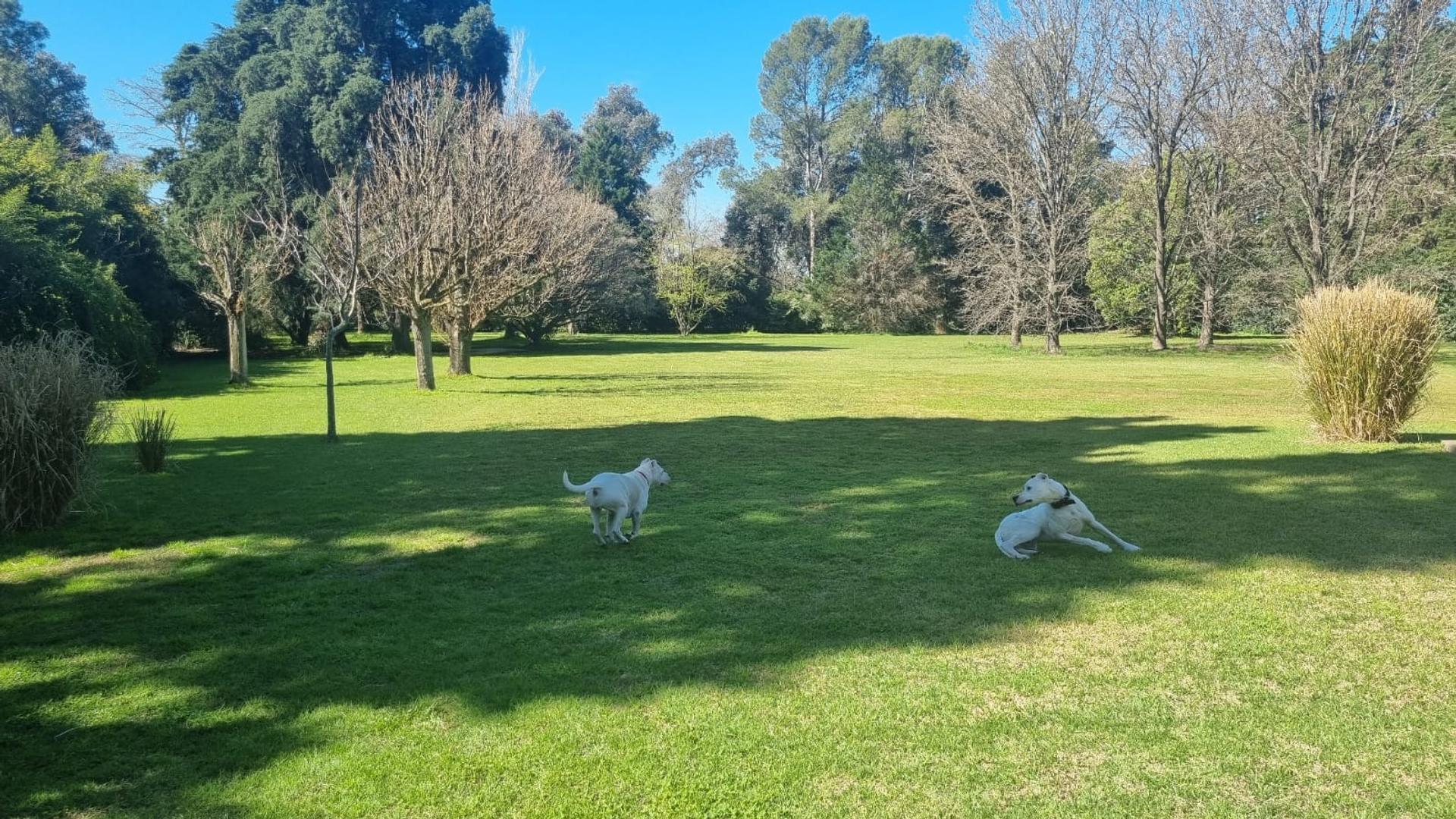 Ruta 6 Y Av. Atalaya