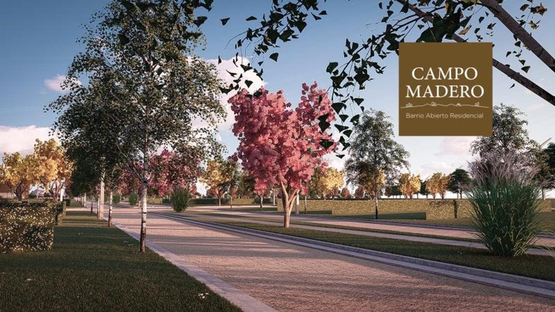 CAMPO MADERO LOTE 317M2