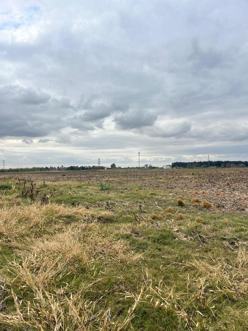 CAMPO 5 HAS EN VENTA EN PEREZ