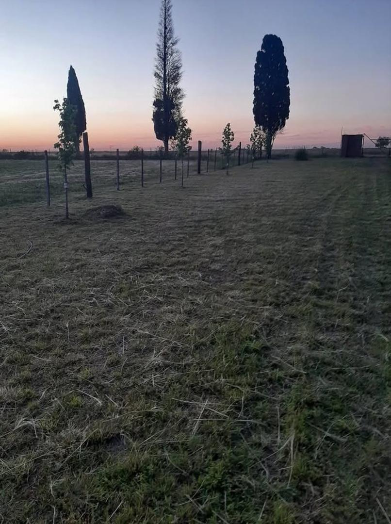 Villa Constitucion, campo 2.1 hectareas, casa 1 dormitorio