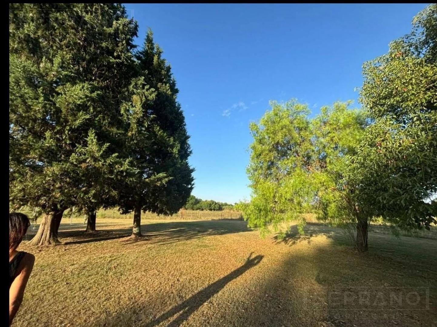 Terreno en Venta 32  mts Frente