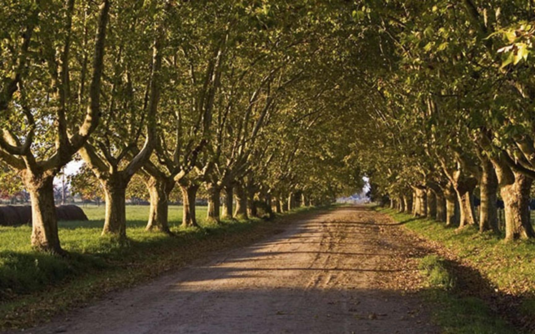 Ruta 205 (estancia Villa Maria Canning)