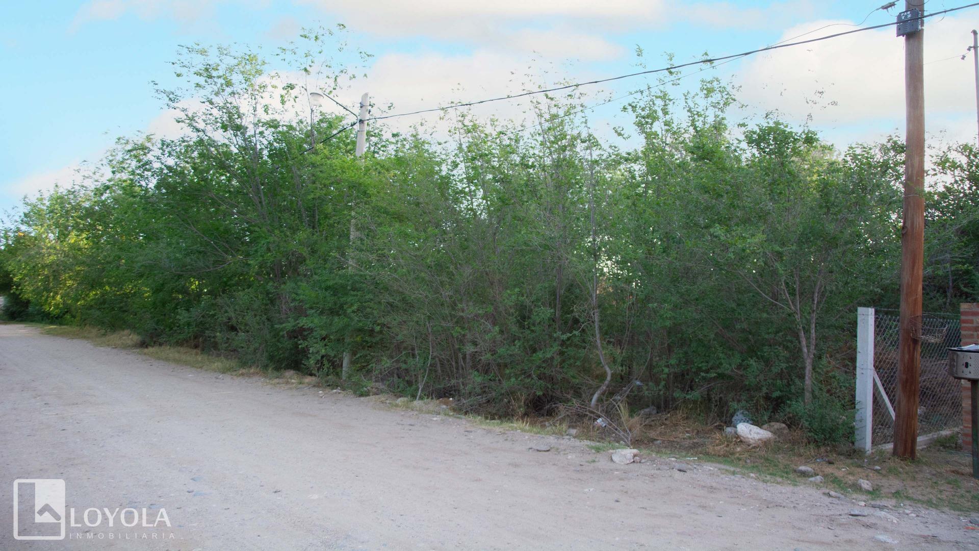 Terreno en Venta de 872,0 m2