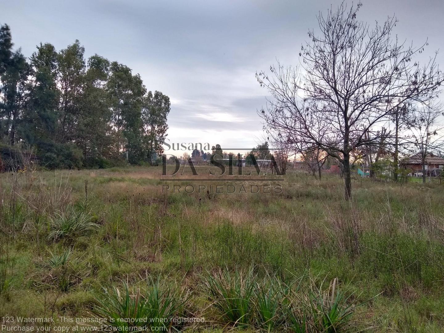 LOTE en Villa El Pinar  Calle Leavy. Villa El Pinar