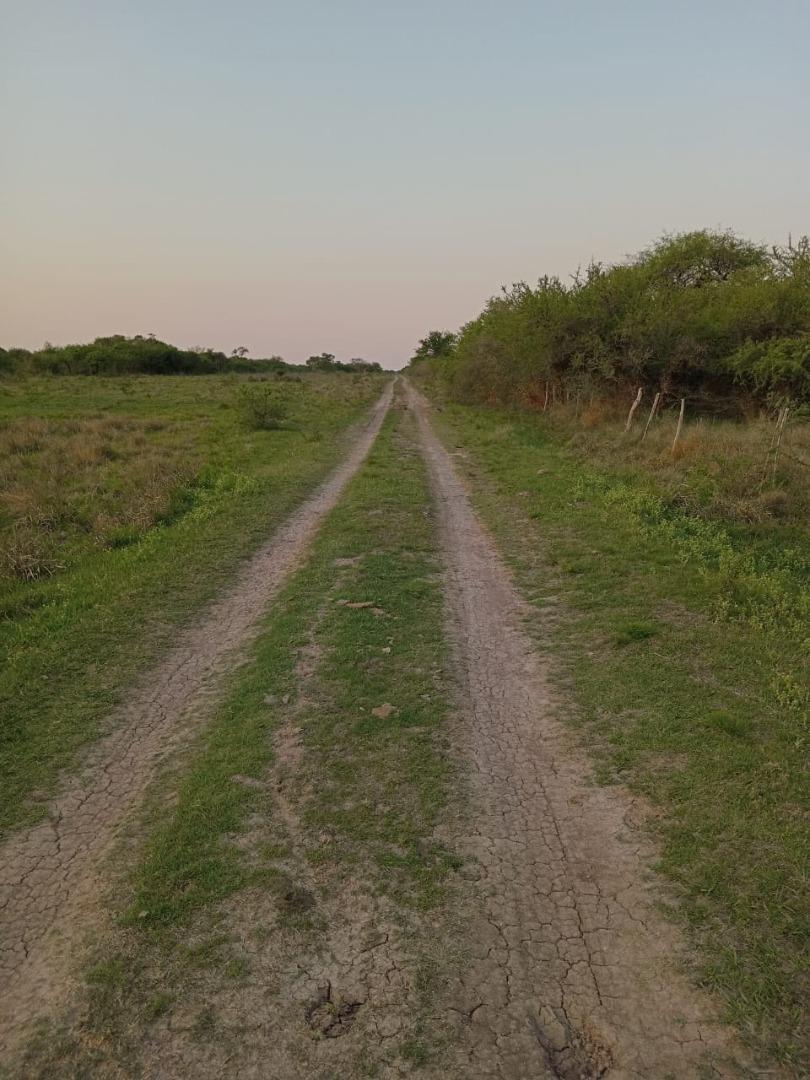 Campo 301 hectáreas Mixto Sauce Corrientes