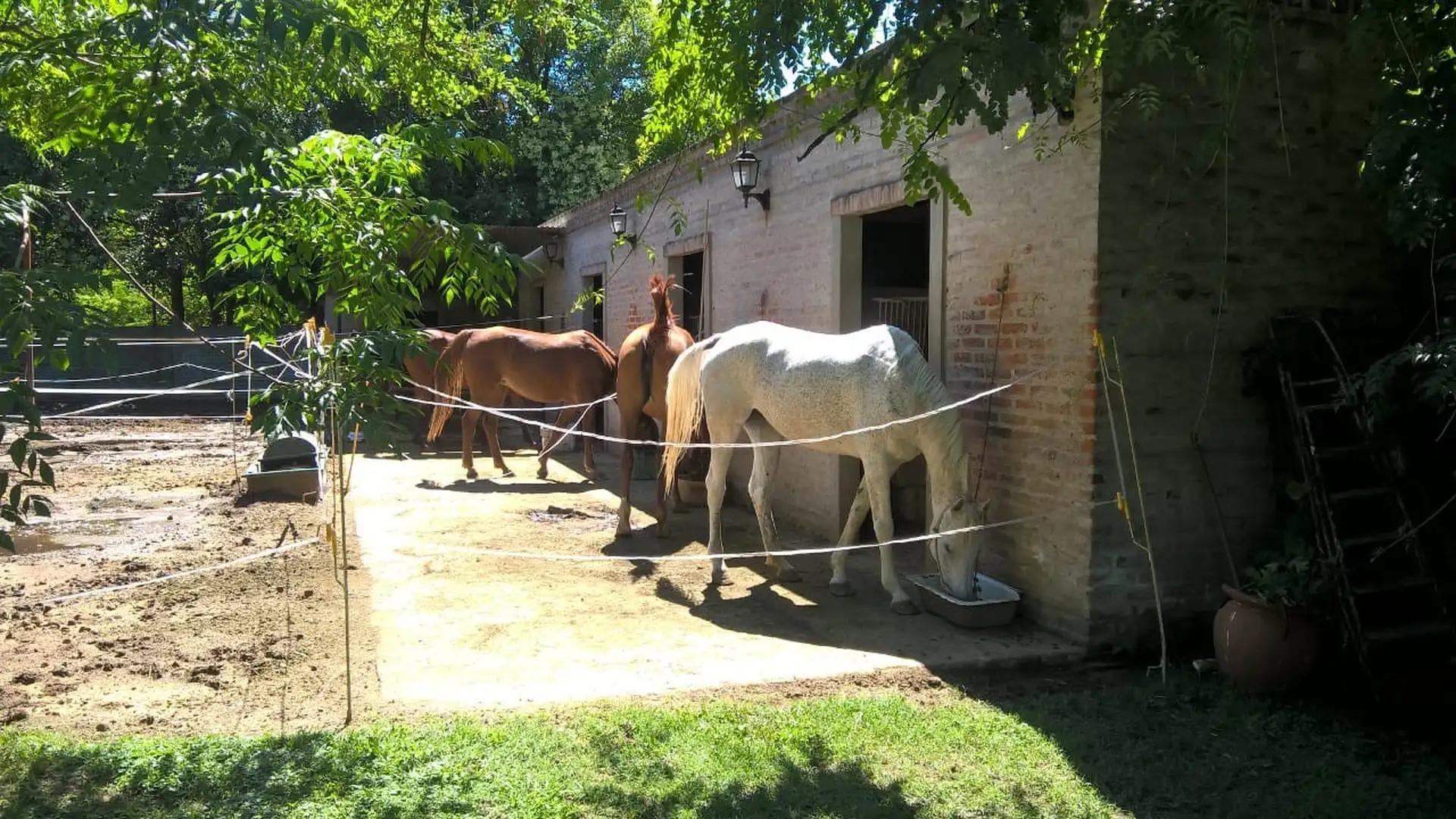 Casa en Venta 15 años