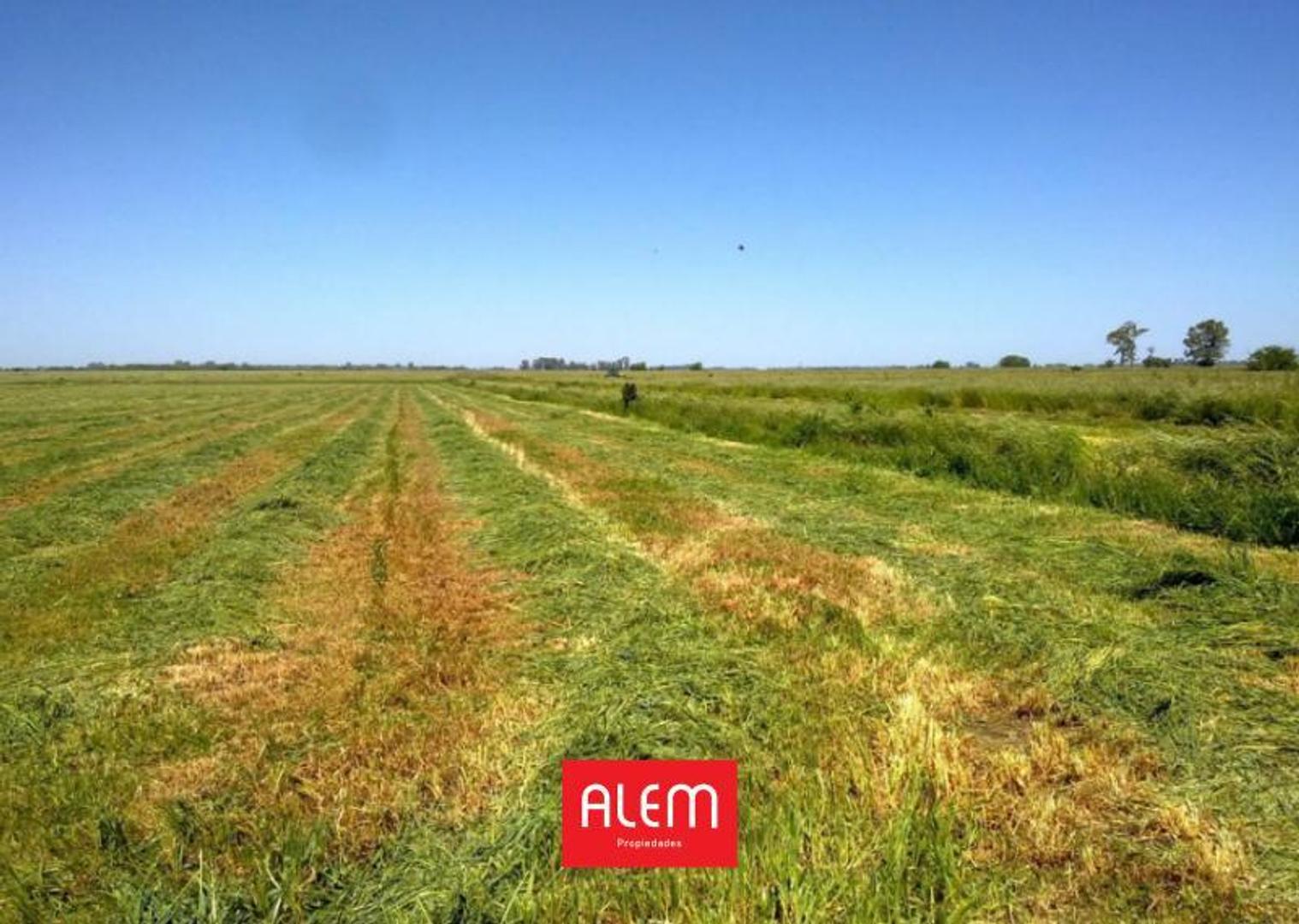 Campo en Venta en Ezeiza, Partido de Ezeiza