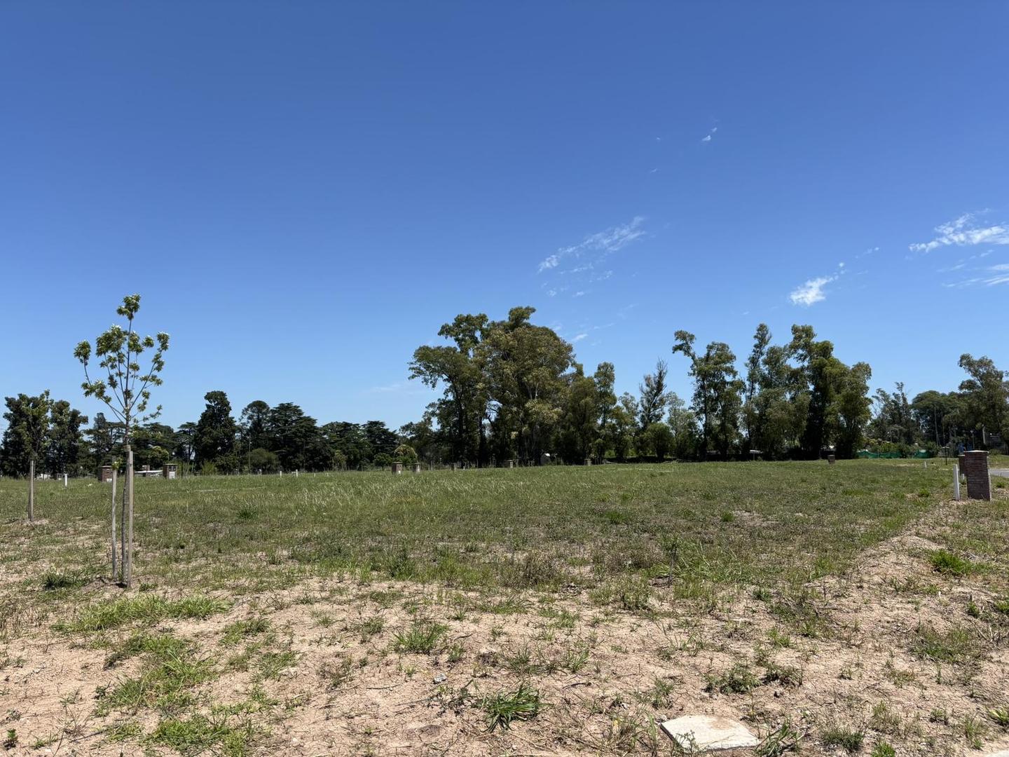 Terreno en Venta de 551,0 m2