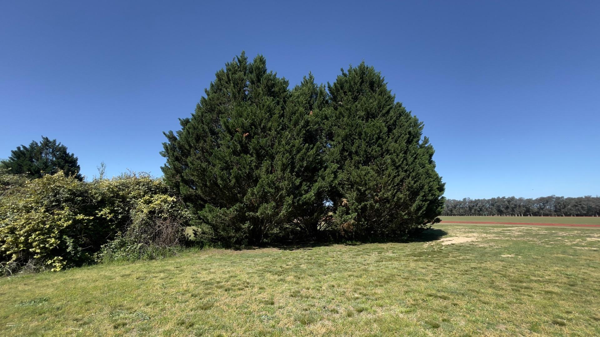 Terreno en Venta de 2147,0 m2