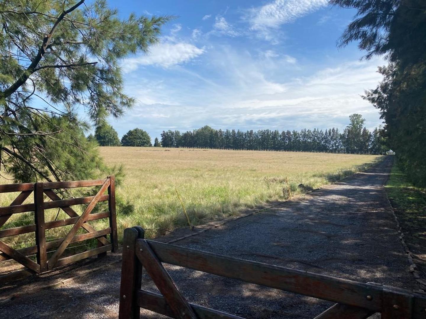 CAMPO CON CASCO EN VENTA LIMA - ZARATE