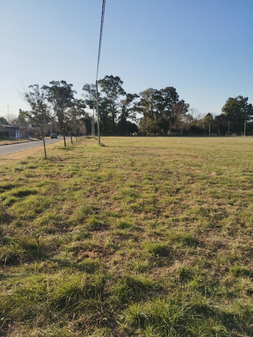 Terreno en Venta, FOS 1,5