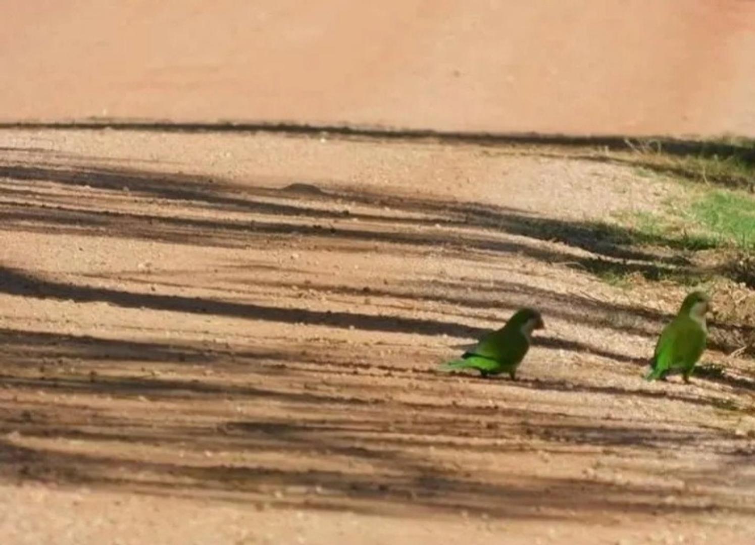 Terreno en Venta de 1050,0 m2