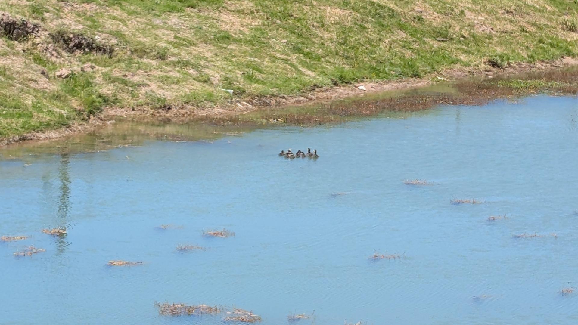 Terreno en Venta en Canning, USD 45.000