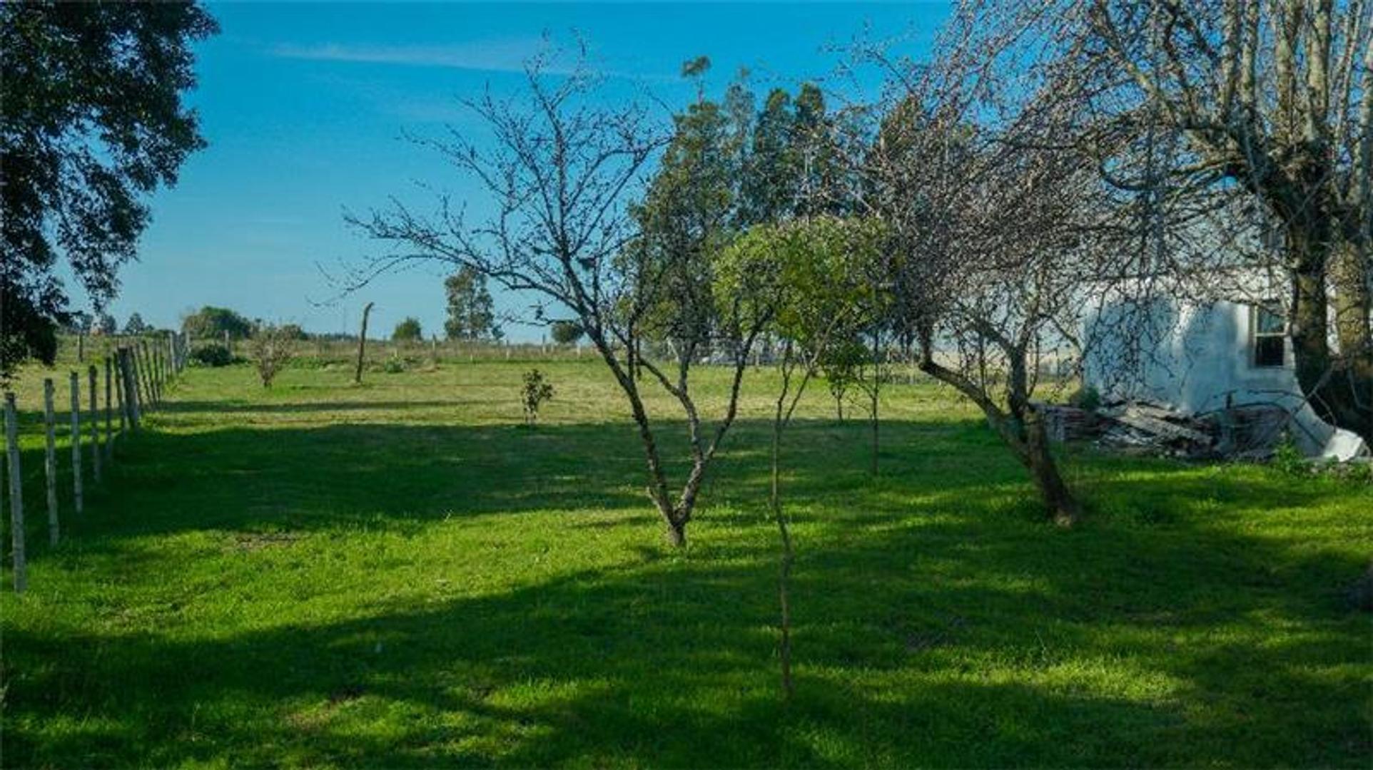 Sup. Total 2.000 M² - Solida Vivienda 3 Dormitorios...