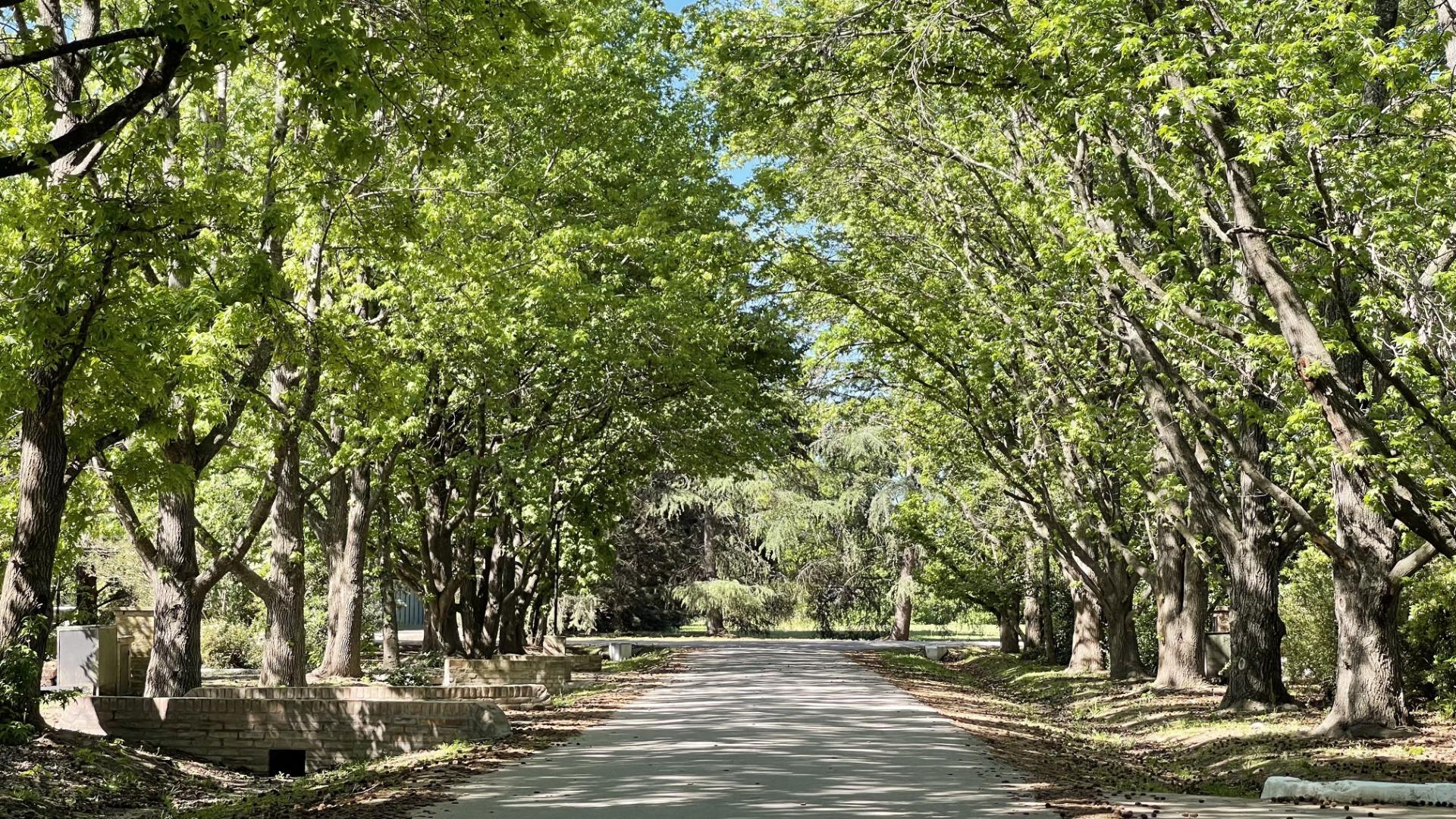 3323MJ- lote venta en La Cañada Polo Club.