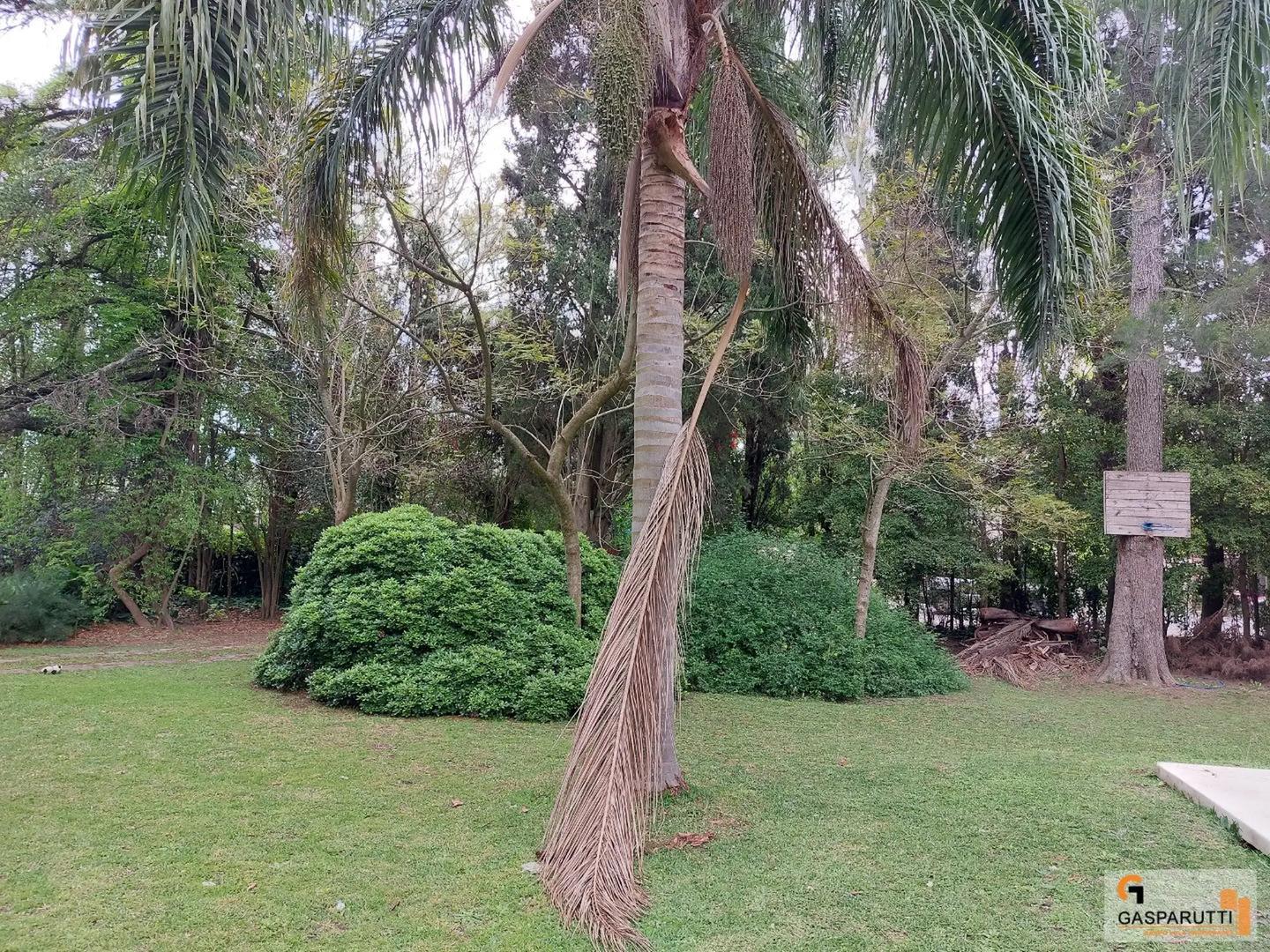 Casa Quinta Terreno en Venta – Ideal Desarrollo Inmobiliario