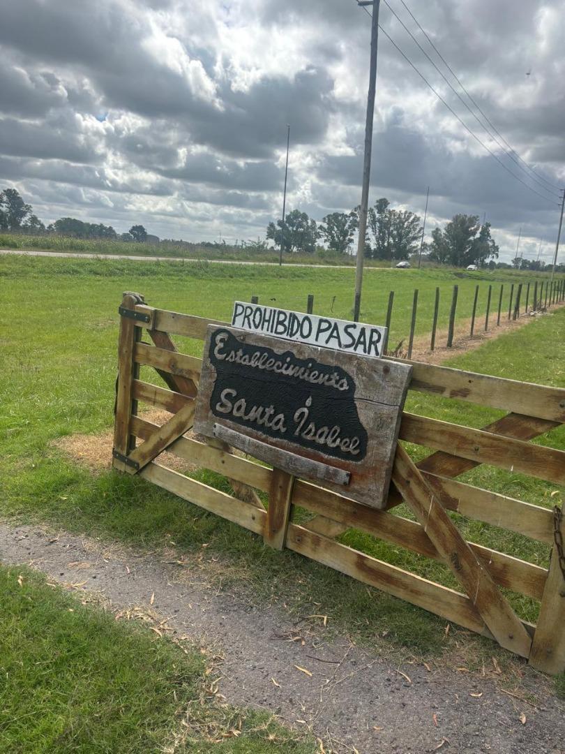 Estancia Santa Isabel, Rp24