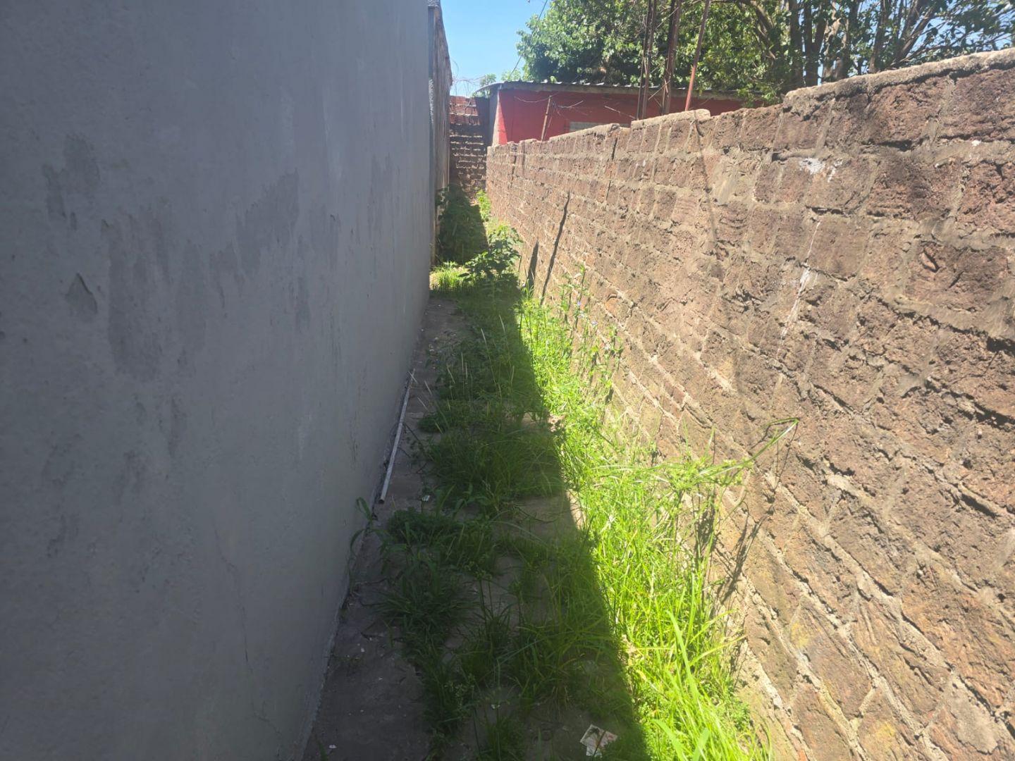 Pedro de Mendoza 400