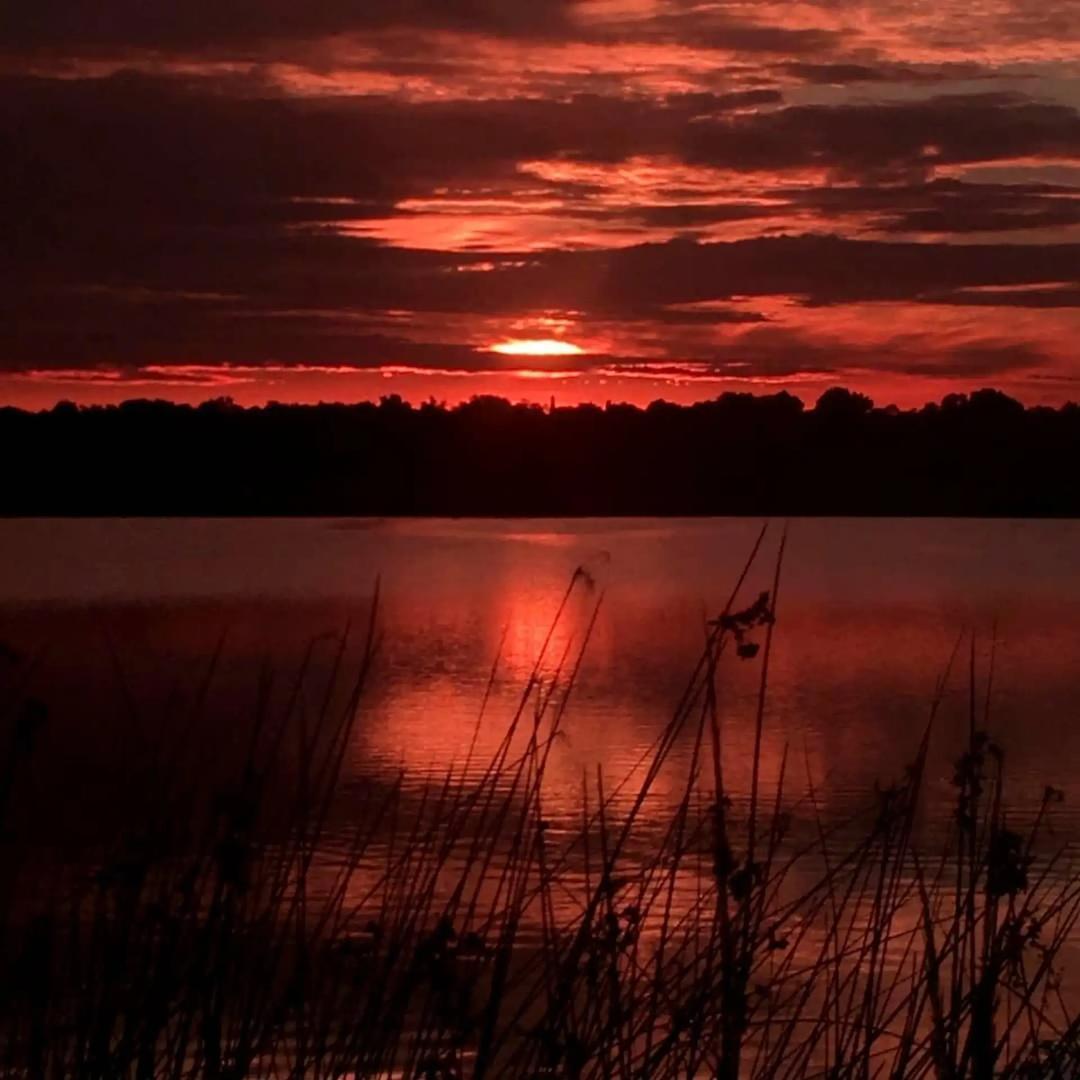 Lote El Naudir Cod: 10951