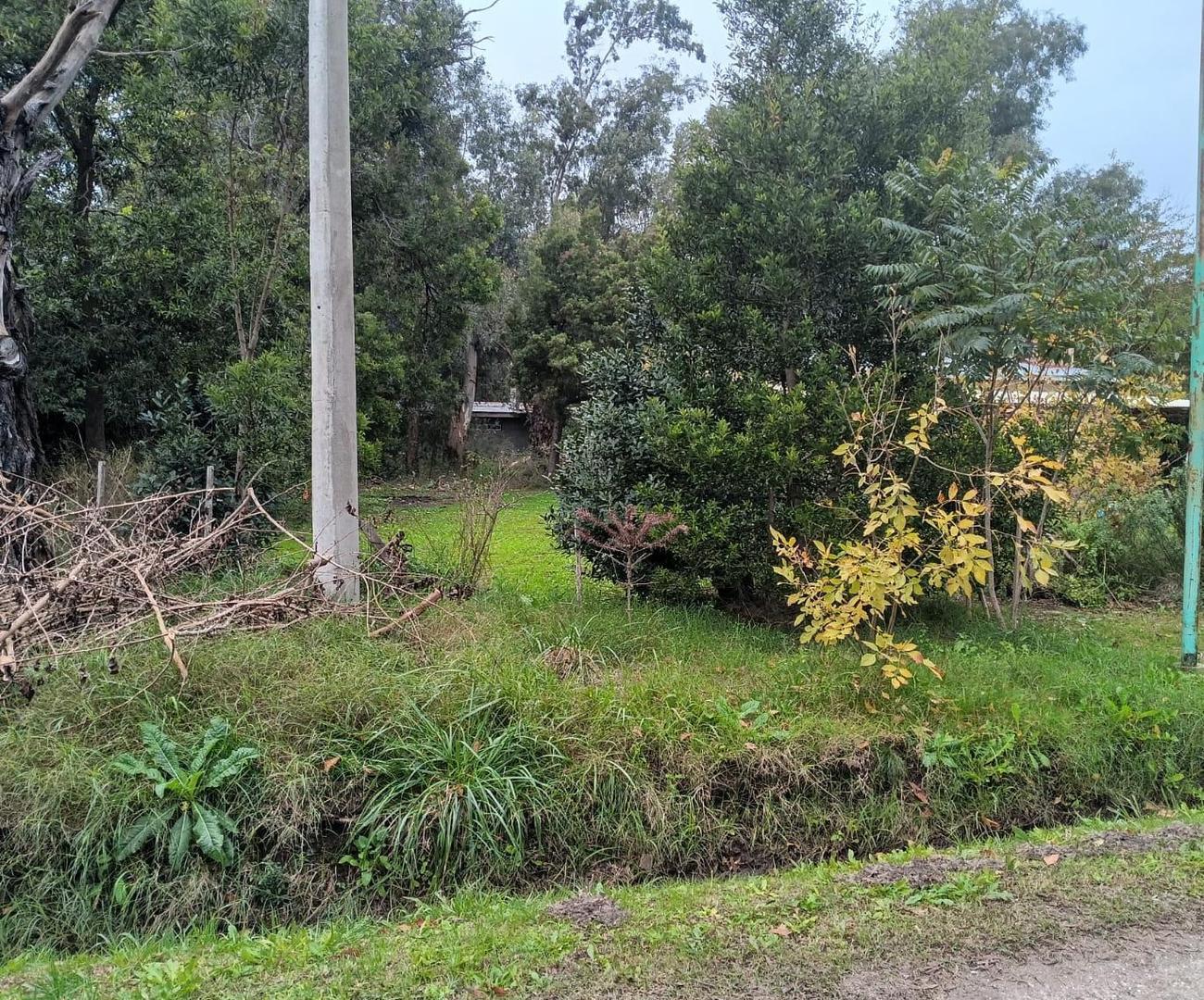 terrenos en correa