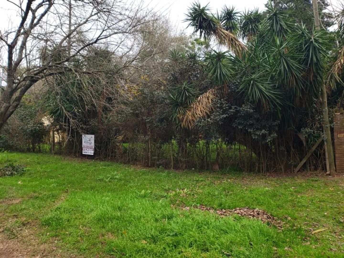 Terreno arbolado en Villa La Ribera cerca del río