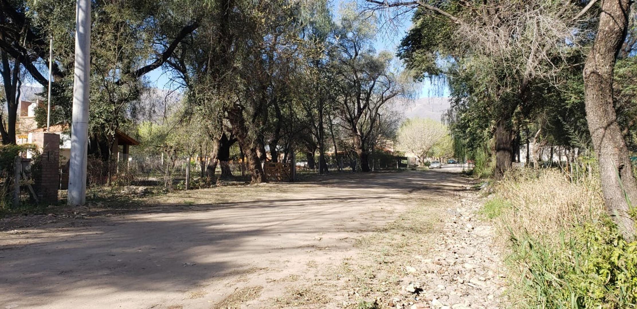 Lote sobre calle Sobremonte