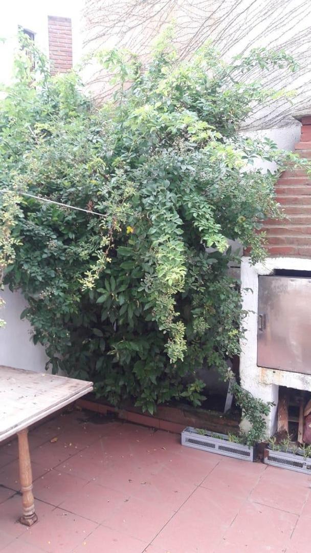 Departamento en Alquiler Temporal de 1 dormitorio