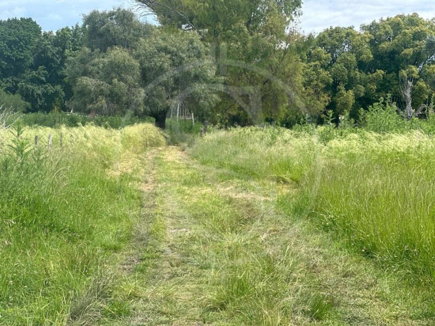 Terreno en Venta de 4950,0 m2