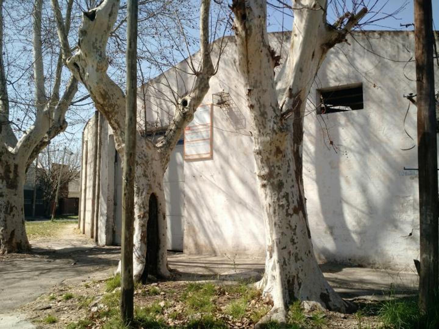 Galpon en Venta 30  mts Frente