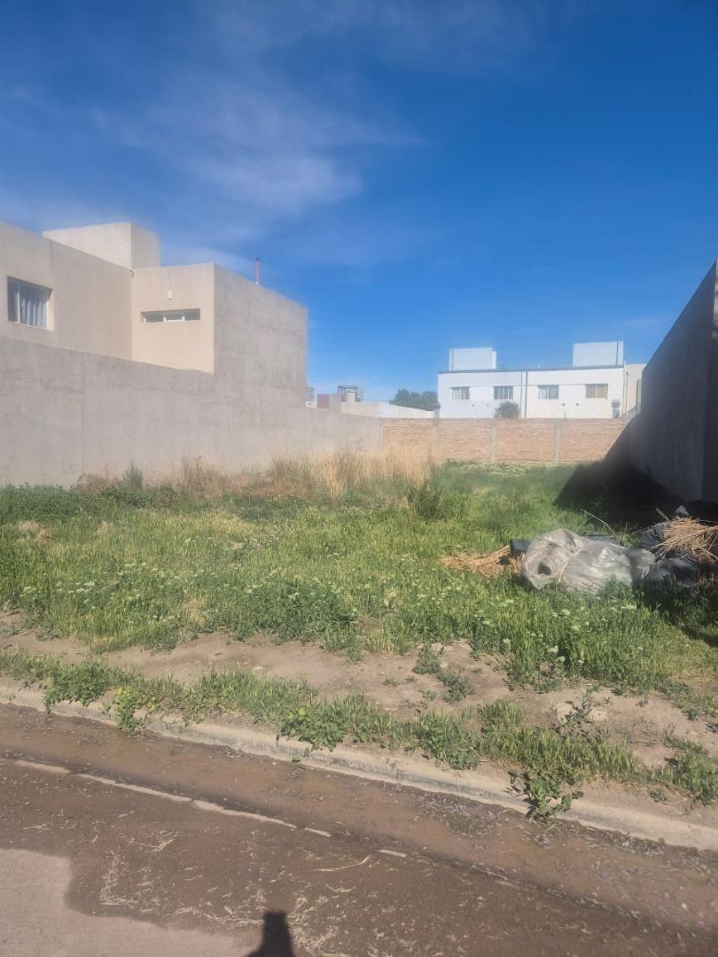 Venta Lote Rincon Lindo Ii - Lago Espejo