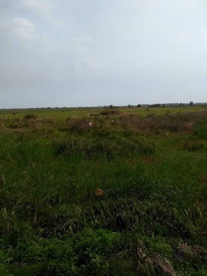 CAMPOEN VENTA APTO PARA DESARROLLO INMOBILIARIO