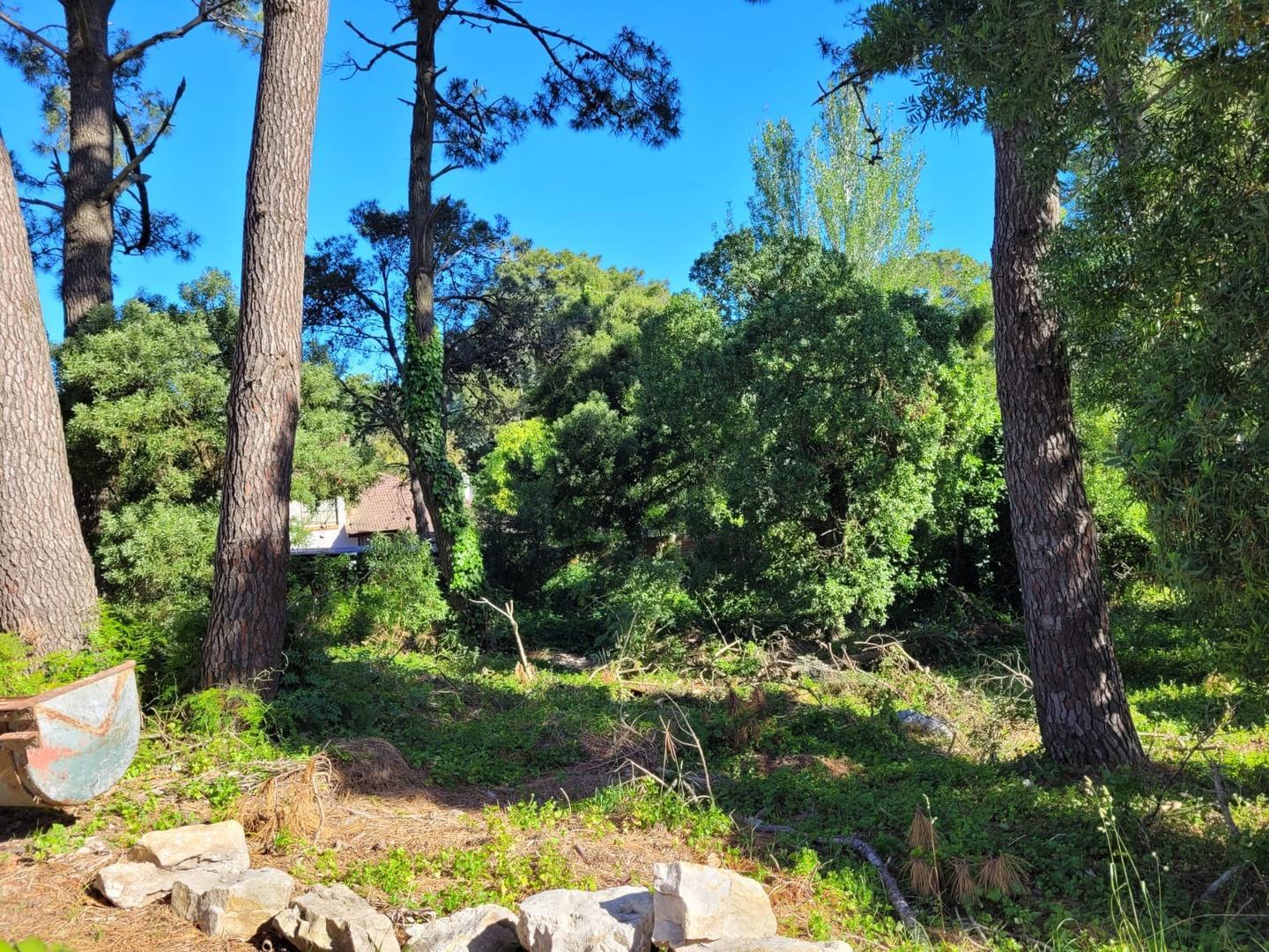 Boulevard Silvio Gesell 91