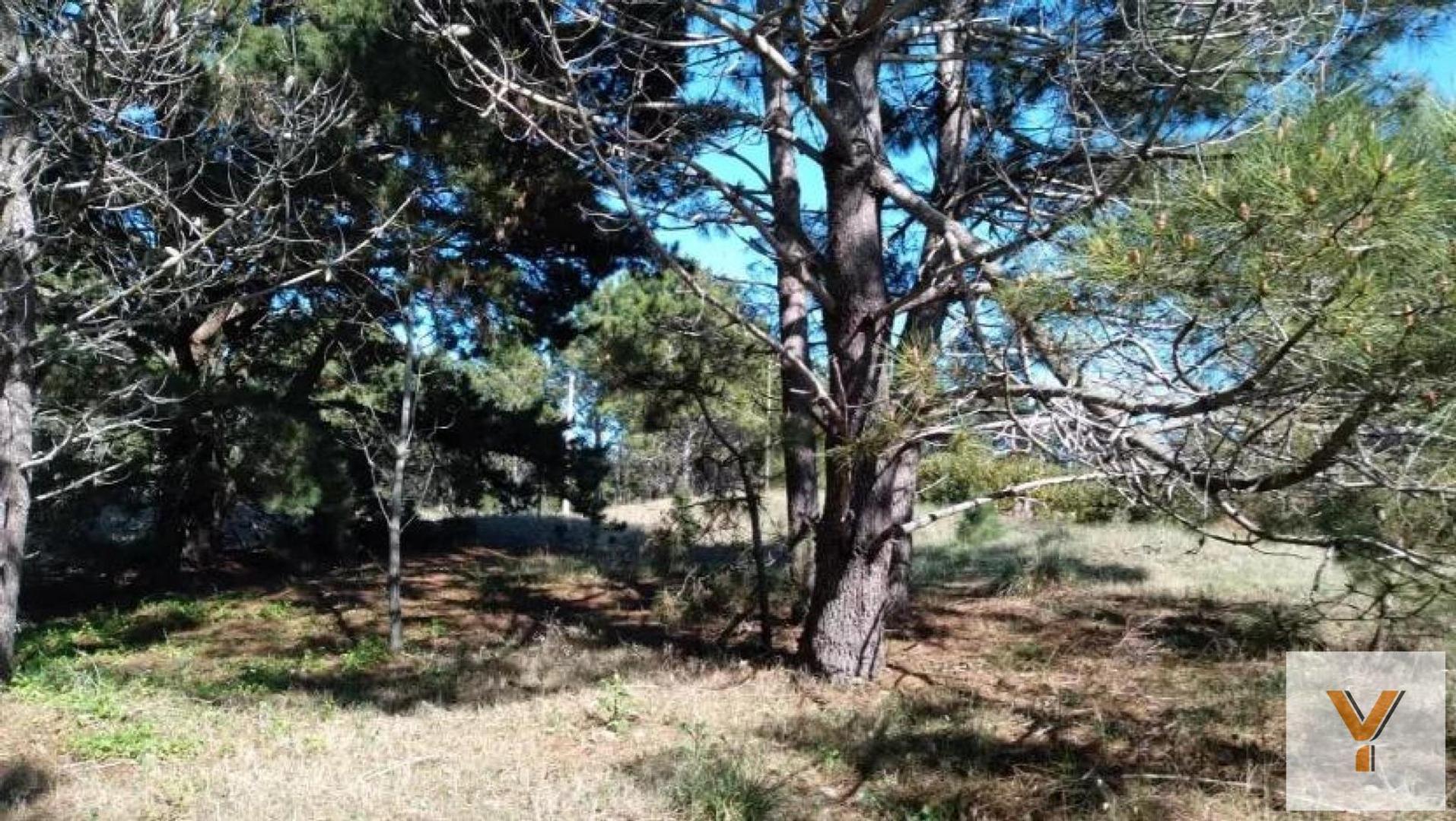Terreno en Venta de 685,0 m2