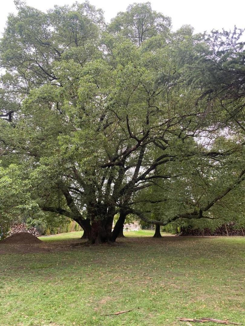 buen lote 50 mts de Storni (La Reja)