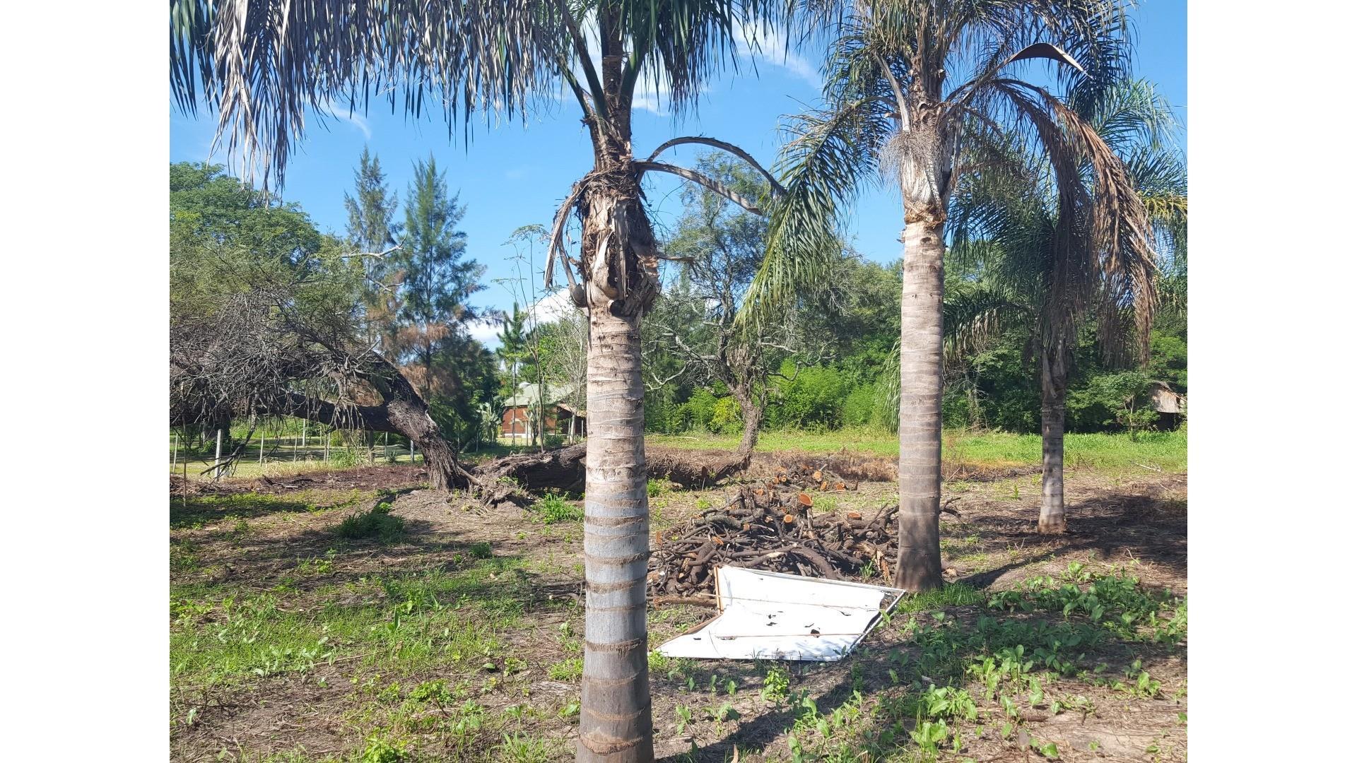 Rta. 16 Km.48.5 Casi Río Negro