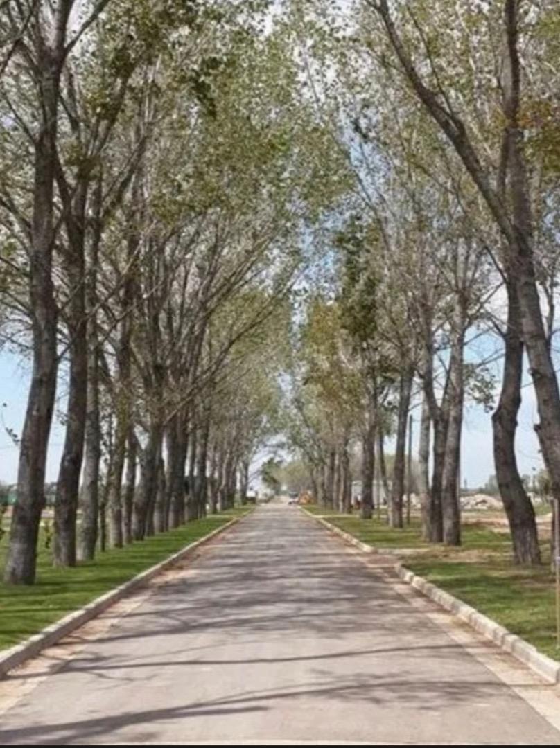 Casa en Venta con 4 cocheras