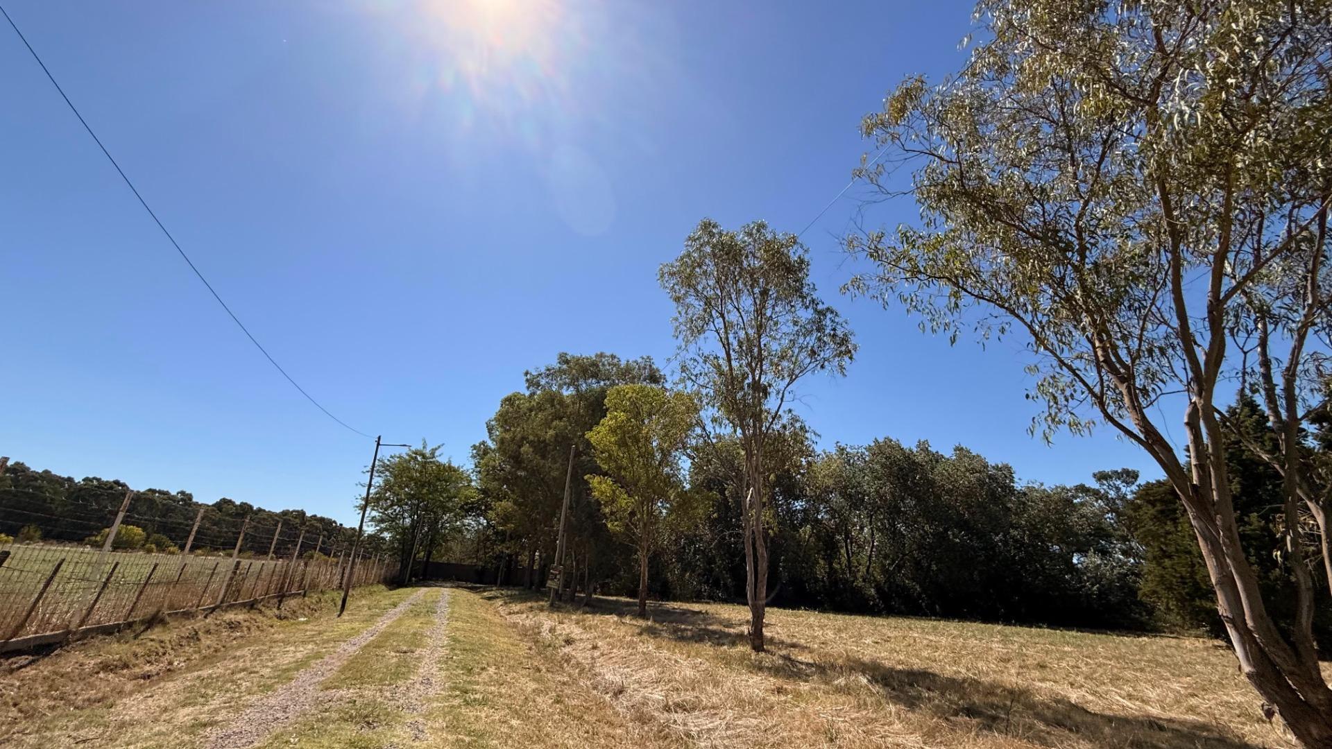 Parque Las Naciones, Ruta 210